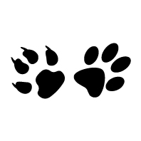SPECIFIC CGD-M Senior Medium Breed 4 kg