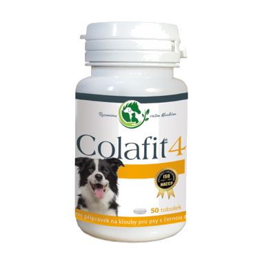 COLAFIT 4